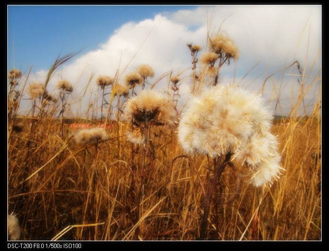 木蘭圍場(chǎng)